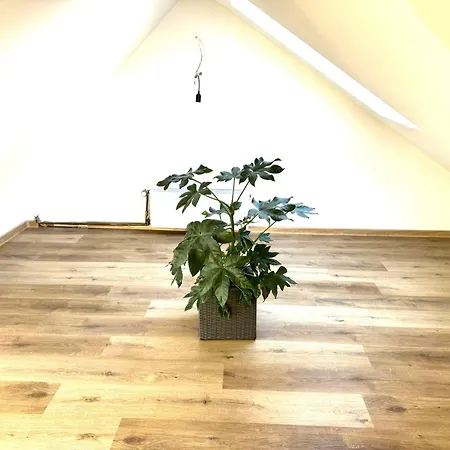 Appartement Ferienhaus Dierdorf Dierdorf